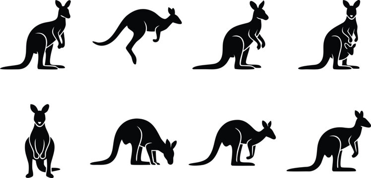 Kangaroo icon set with joey pouch hopping and wildlife design