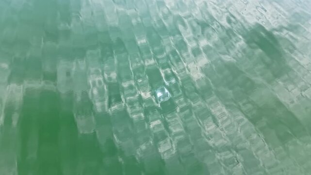 Sunlight reflects off the water surface at a lake on a sunny summer day. The green water shows patterns of light and movement.