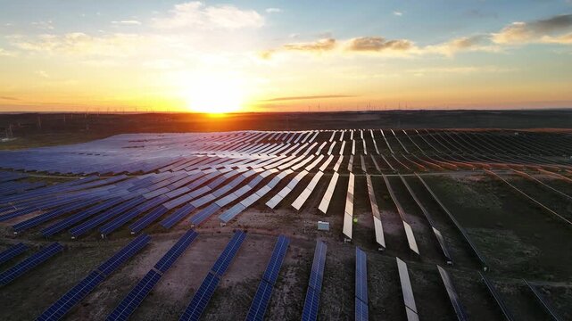 Expansive solar photovoltaic panel array at sunset