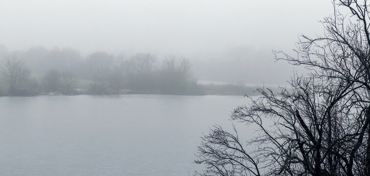 Foggy lake landscape with bare trees on a calm autumn morning