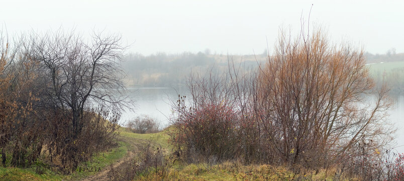 Bare autumn shrubs along a misty lakeside path