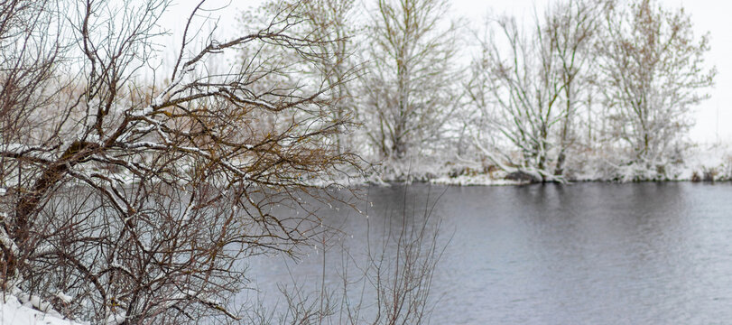 Snow-dusted trees along a calm winter river landscape