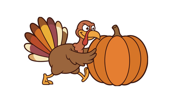 Funny cartoon illustration of a determined turkey pushing a large orange pumpkin for the Thanksgiving holiday celebration