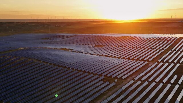 Rows of solar panels at sunset