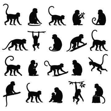 Black silhouette monkey icons set various poses and actions