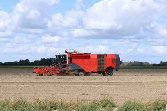 a self propelled potato harvester is driving in a potato field and harvesting potatoes and a blue sky with clouds
