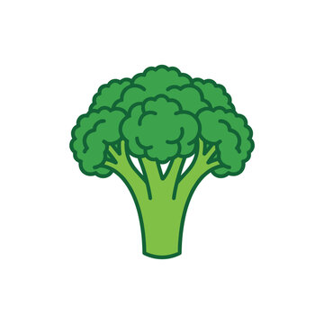 Green broccoli floret vector icon isolated on white background healthy organic vegetable art