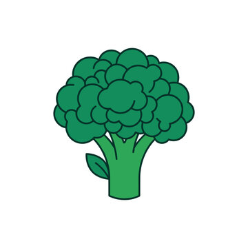Fresh green broccoli head with leaf simple flat illustration