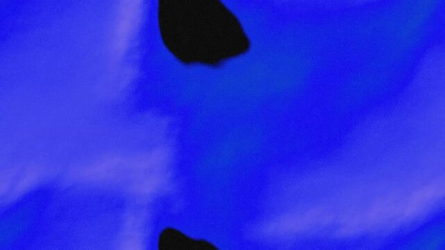 Abstract blue and black noise motion background
