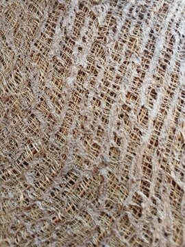 
This photo captures a fascinating natural texture derived from coconut plant fibers, revealing an intricate network of woven strands and organic patterns. The close-up view hig