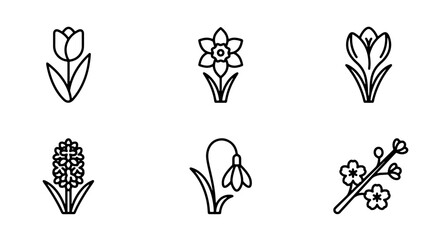 Fototapeta premium Spring Flowers Icon Set, 6 Floral Vector Graphics, Tulip Daffodil Crocus Hyacinth Snowdrop Blossom