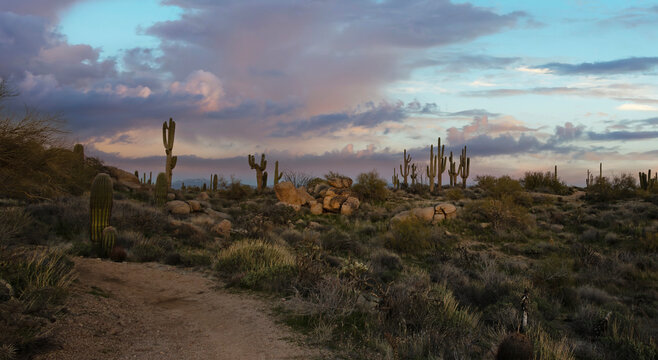 Dawn Along Desert Hiking Trail In North Scottsdale Arizona Browns Ranch Trailhead