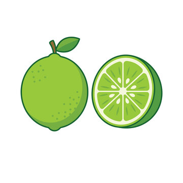 Fresh green lime fruit and half slice vector illustration isolated on white background set