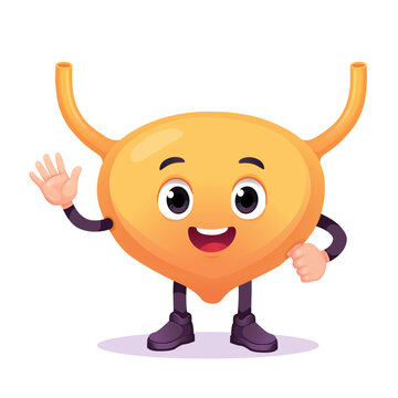 A cheerful cartoon urinary bladder character smiles and waves hello against a white background. This friendly vector mascot represents urinary health and wellbeing for children's anatomy lessons
