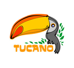 Tucano - Toucan © Andr