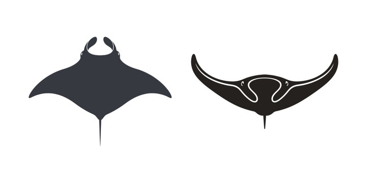 Two black stingray illustrations in different poses on a white background