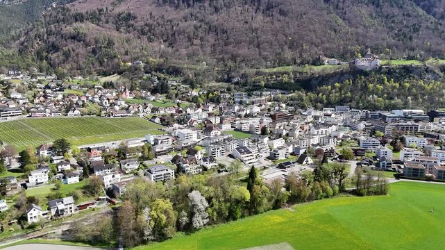 flowering meadow foreground vaduz town aerial view vineyard rows terraced hillside castle distant cliff forested slopes church spire rooftops rhine valley liechtenstein drone footage establishing shot