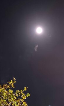 fotografie la luna y en la misma escena aparecio una figura hecha con humo, libre albedrio