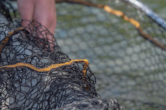 Close-up of a Black Fishing Net with Orange Trim over Water