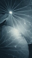 Obraz premium Abstract blue-toned lotus leaves, perfect for a serene mobile wallpaper.