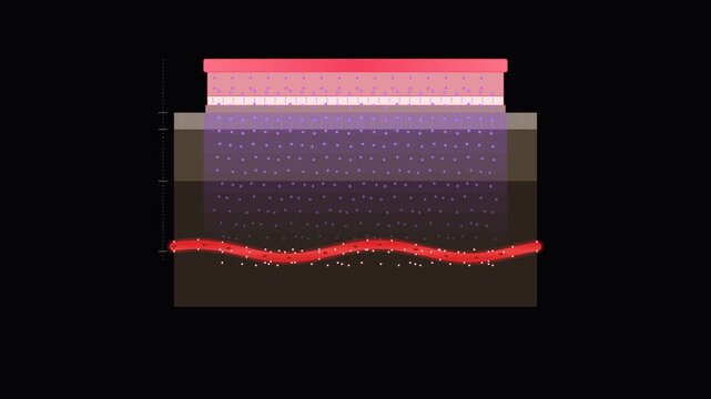 Detailed cross section diagram of human skin layers showing anatomy and structure