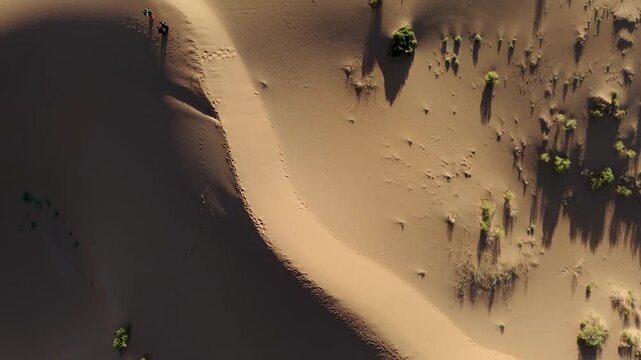 Aerial View of Tengger Desert Dunes and Sparse Vegetation