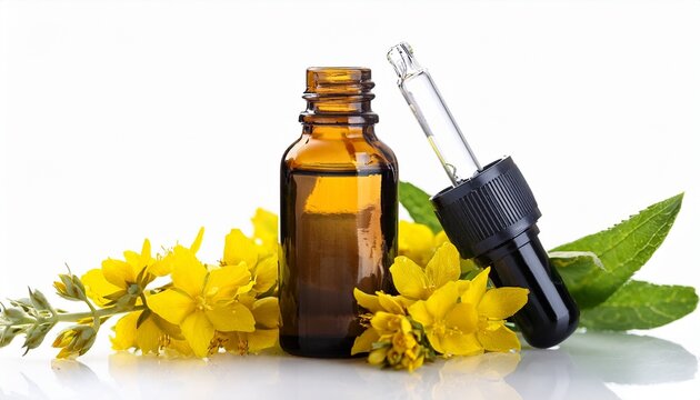 Lysimachia Vulgaris Flowers With Dropper And Small Bottle Isolated On White