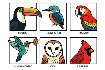 Fototapeta premium Colorful cartoon birds illustration set