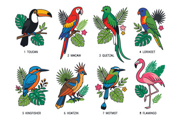 Fototapeta premium Colorful tropical birds illustration set