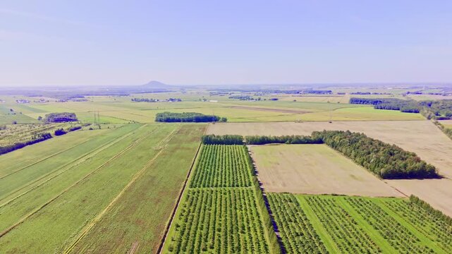 Quebec, Canada - September 12: A sweeping 4K aerial drone video over a vast, thriving apple orchard in Quebec, featuring rows of trees laden with red fruit, winding farm paths, and a rustic barn under
