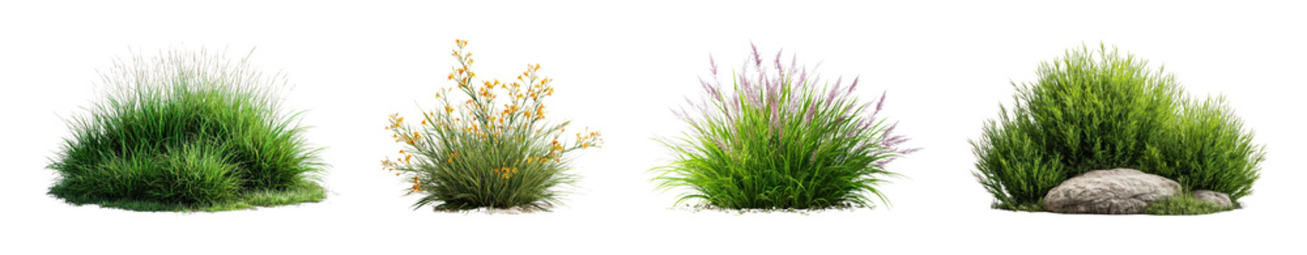 PNG Decorative ornamental grass and flowering plant collection, transparent background