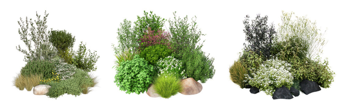 PNG Decorative ornamental shrub clusters isolated on transparent background