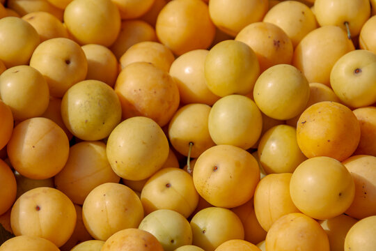 Marktverkauf von Mirabellen (Prunus domestica subsp. syriaca)