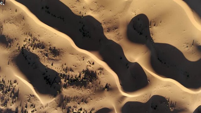 Aerial View of Tengger Desert Dunes with Sparse Vegetation