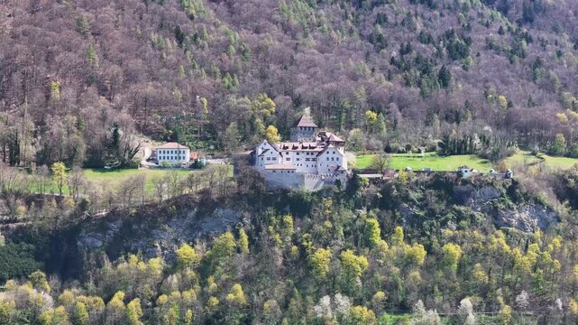 vaduz castle distant hillside view rocky outcrop mixed forest bare trees green conifers spring undergrowth clearing courtyard building liechtenstein rhine valley drone footage wide shot heritage site