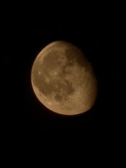 moon © Danni