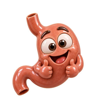 Cute 3D Ceramic Stomach Character with Thumbs Up, Glossy Digestive System Concept