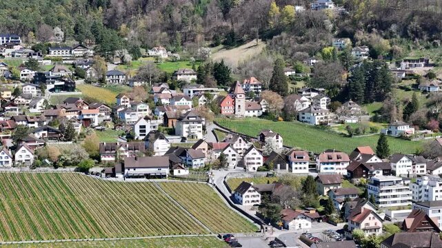 residential hillside houses vineyard rows foreground mixed architecture red tile roofs turret villa forested slope backdrop rhine valley liechtenstein vaduz aerial view drone footage scenic