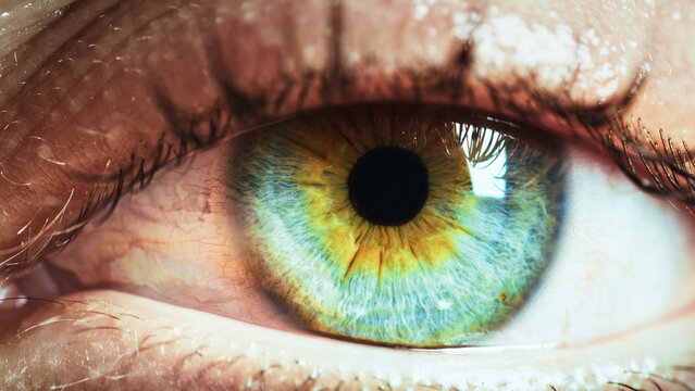 Pupil eye look into the camera 