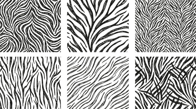 Zebra stripe pattern vector set. Features six distinct black and white animal skin textures. Seamless designs for fashion fabric, textile prints, and creative wallpaper backgrounds.