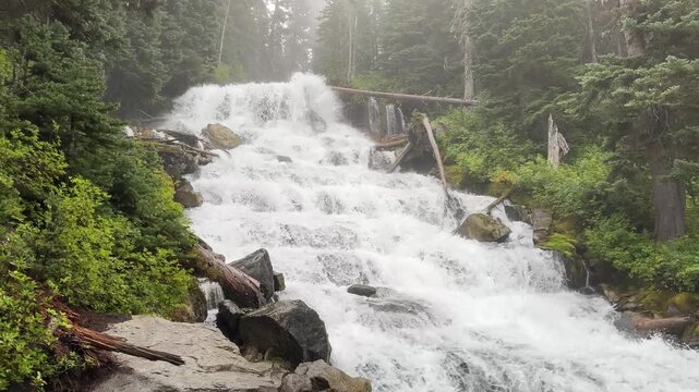 Misty multi tier waterfall rushing over rocks and fallen logs in dense evergreen forest, overcast summer day wide static shot