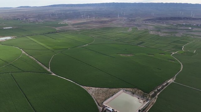 aerial view of green corn fields and wind turbines in distance