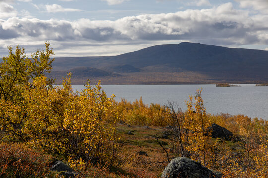 Colorful Autumn Landscape Near Abisko and Tornetrask Lake, Sweden