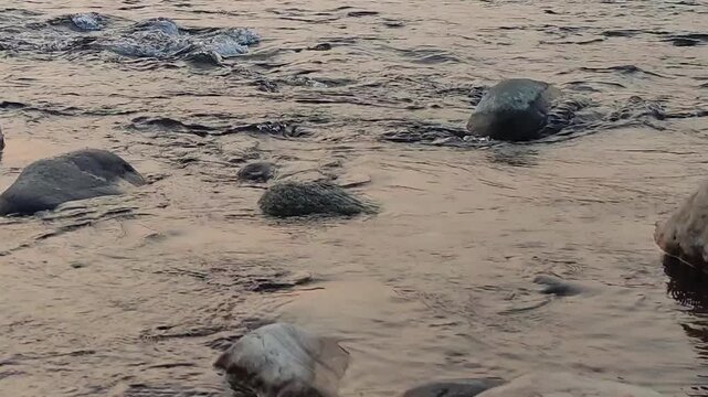 Sand ripple motion with pebbles and water flow during low tide