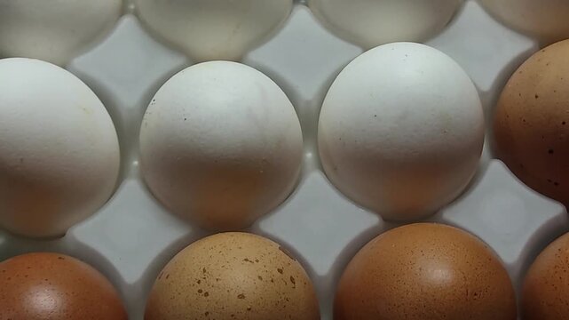 Various size eggs arranged in rows with subtle lighting changes