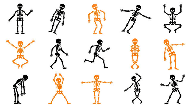Animated skeleton and muscle human figures doing various poses