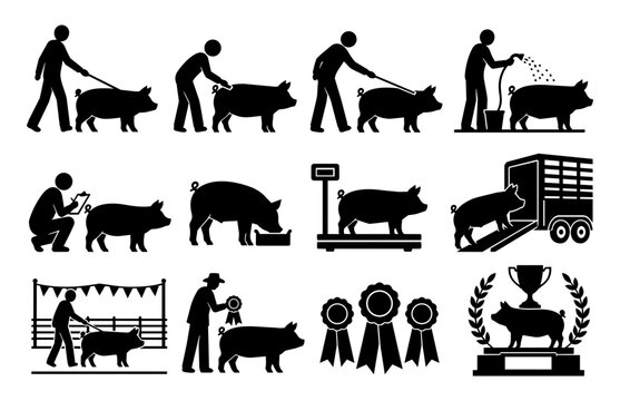 Swine Showmanship and Pig Exhibition Silhouette Icon Set