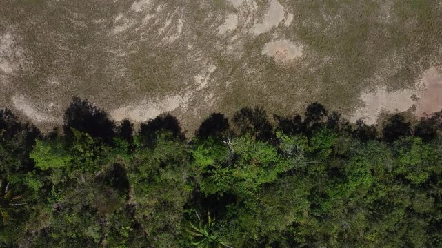 Aerial View of the Contrast Between Amazon Rainforest and Deforested Land 