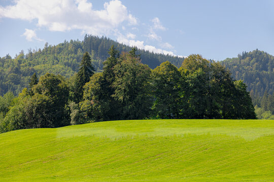 Rural Bavarian countryside landscape, Scenic view of slope hills and lush green grass meadow with tree trunk, Alpine mountains with pine forest under blue sky and white clouds, Bavaria region, Germany