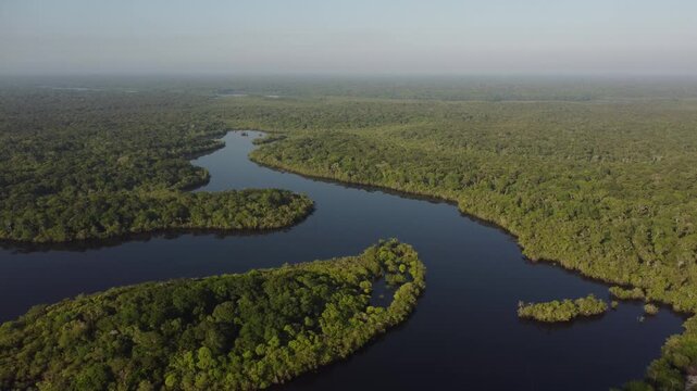 Aerial Panorama of Amazon River Beaches and Dense Tropical Forest in Brazil